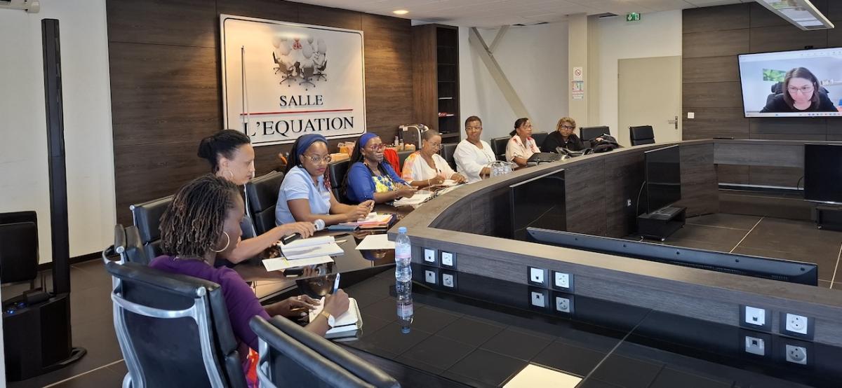 Participantes à la rencontre organisée avec Cap emploi