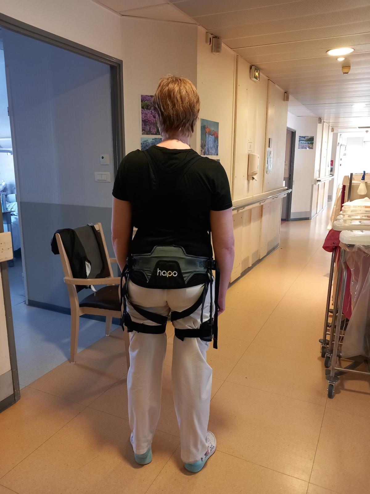 Vue de l'exosquelette de dos