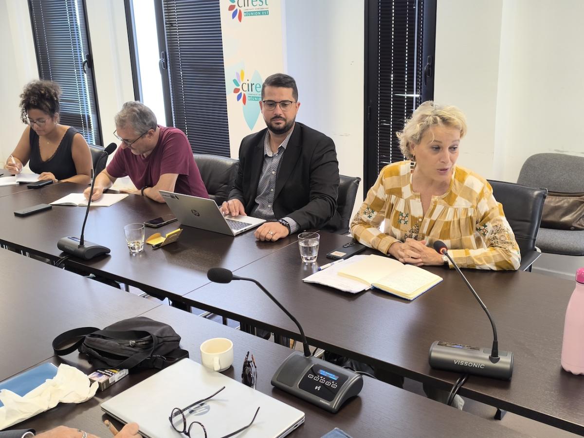 Intervention de Laure Ben Moussi, DTH du FIPHFP (au premier plan) à l'occasion de la réunion du 28 août