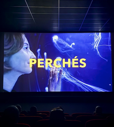Projection du documentaire Perchés