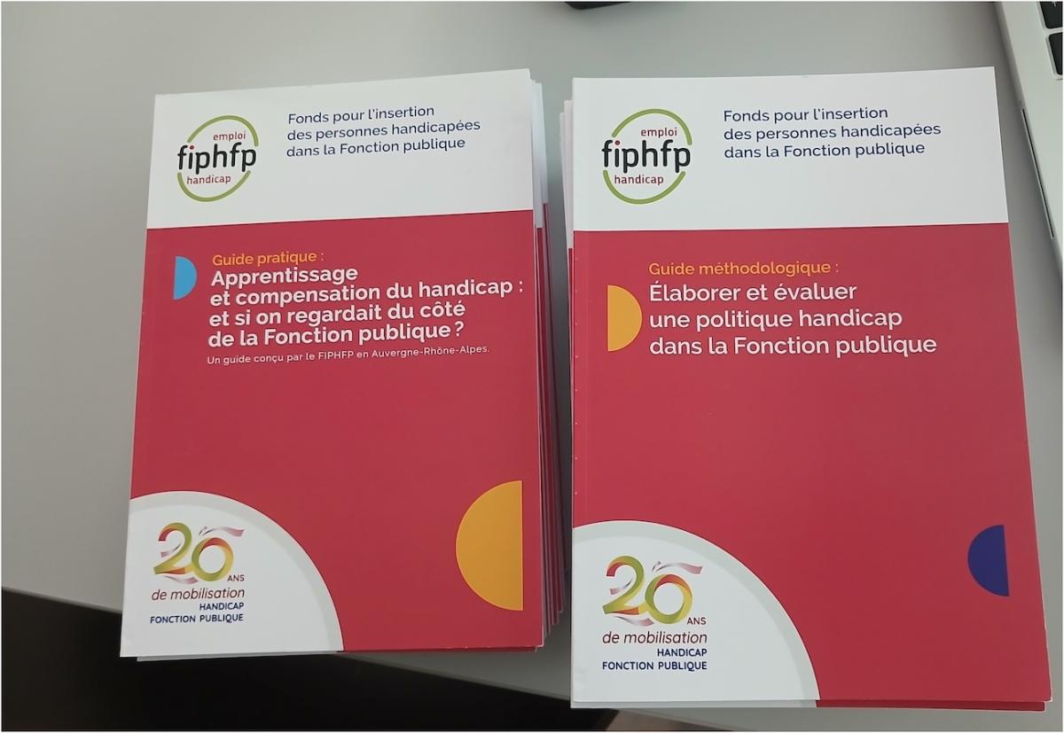 Vue des guides apprentissage et Fonction publique