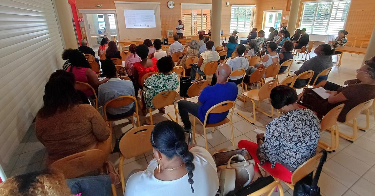 Participantes et participants à la journée territoriale du FIPHFP en Martinique
